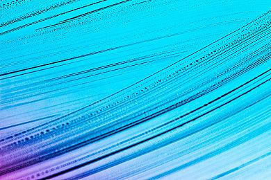 卢卡斯游戏主管表示《夺宝奇兵》续作可能很有趣